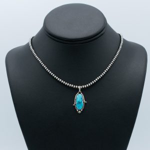 Blue Moon Turquoise Necklace